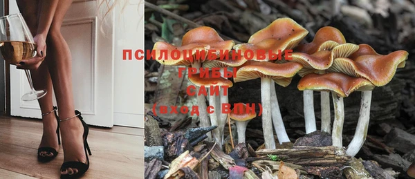 меф Горнозаводск